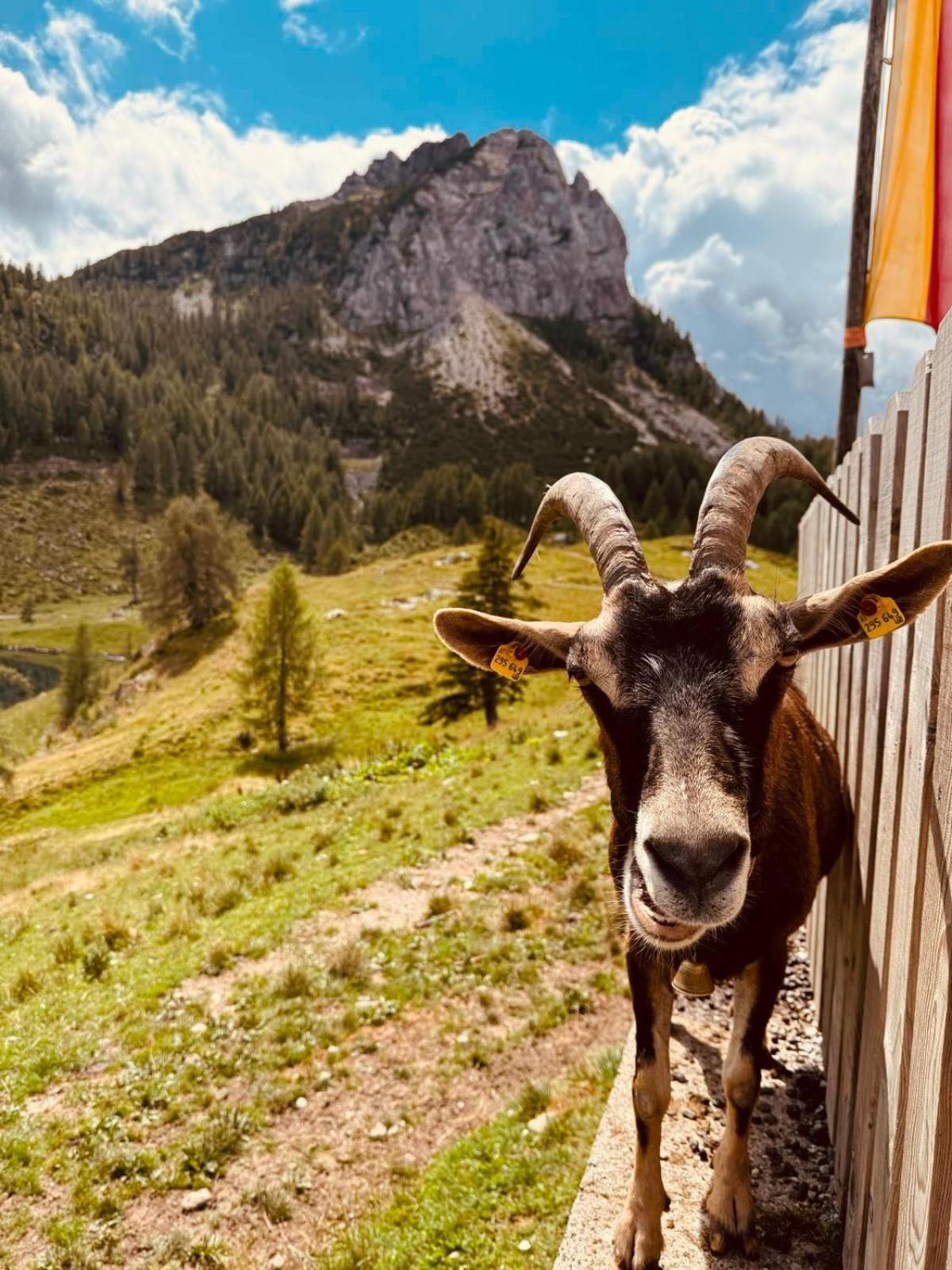 Apartamento Stubihuettn Sonnenalpe Nassfeld Exterior foto